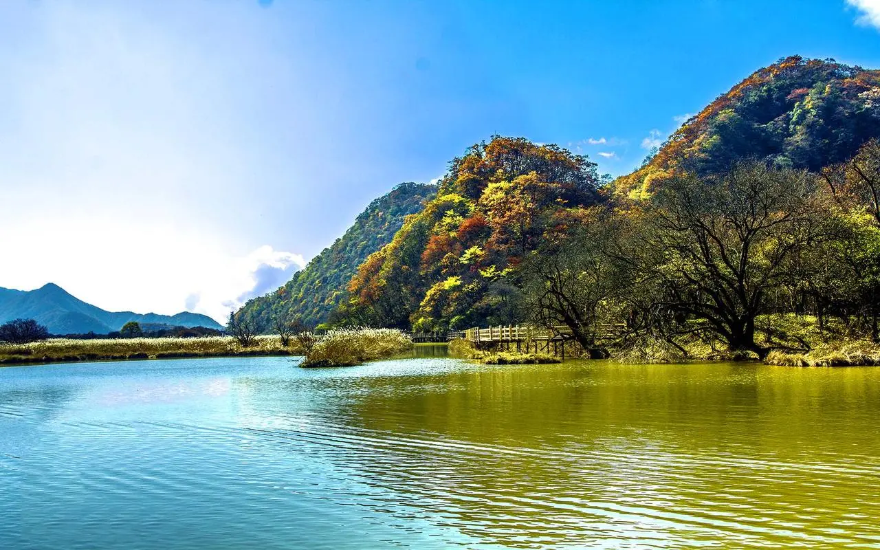 智能高性能